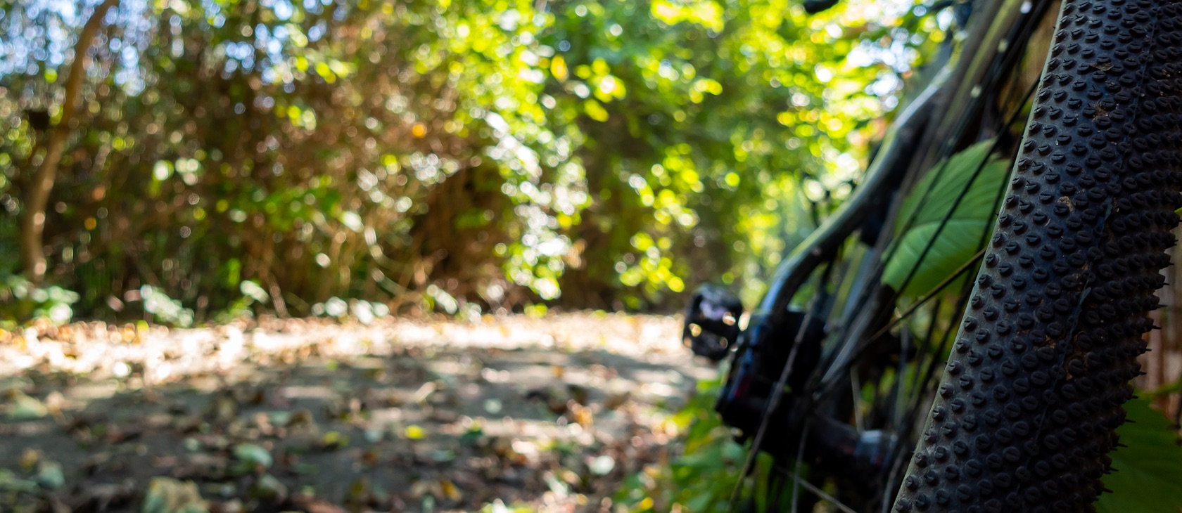 PMC Unpaved Fundraising Tools & Tips Support DanaFarber